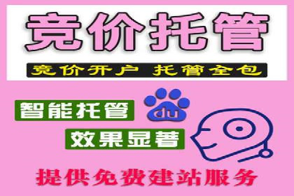 创新引领者：某信息流广告公司的技术突破案例